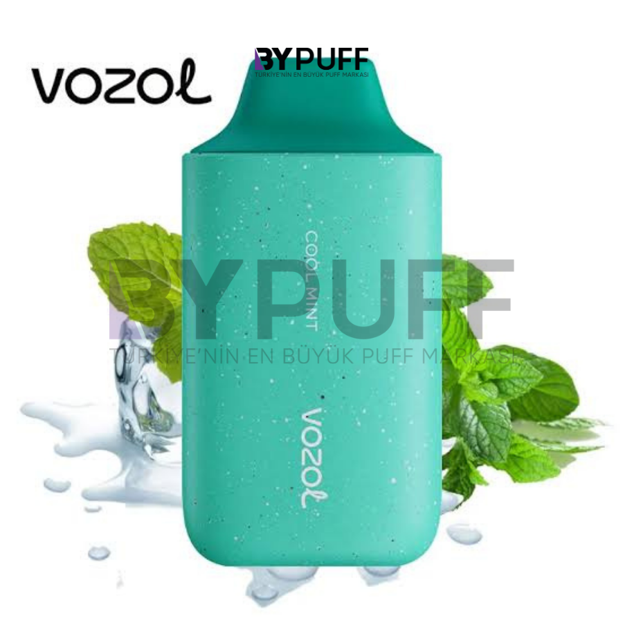 Vozol 6000 Cool Mint