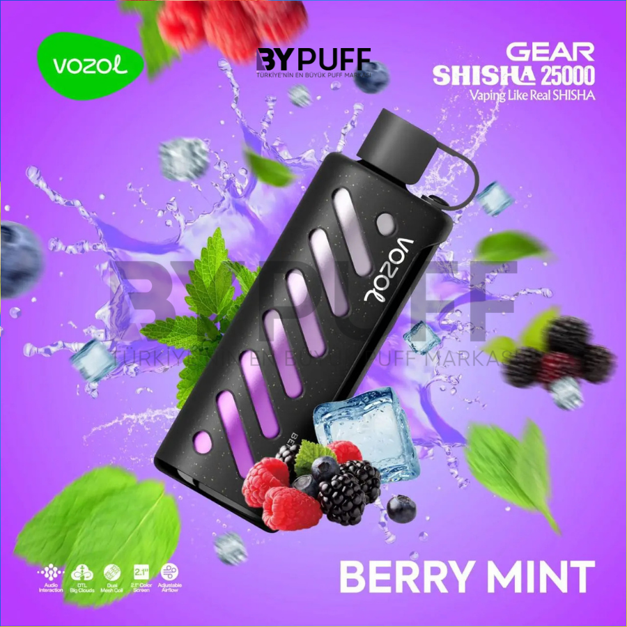 Vozol Gear 25000 Berry Mint