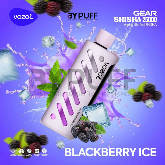 Vozol Gear 25000 Blackberry Ice