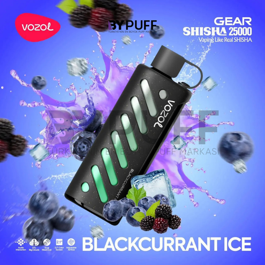 Vozol Gear 25000 Blackcurrant Ice