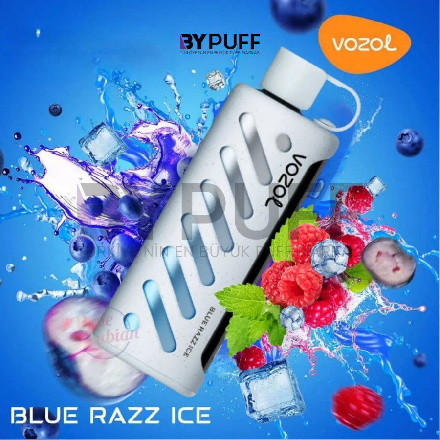 Vozol Gear 25000 Blue Razz Ice