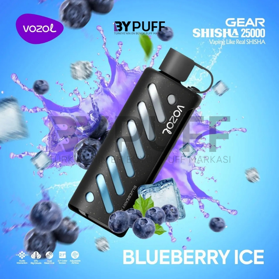 Vozol Gear 25000 Blueberry Ice