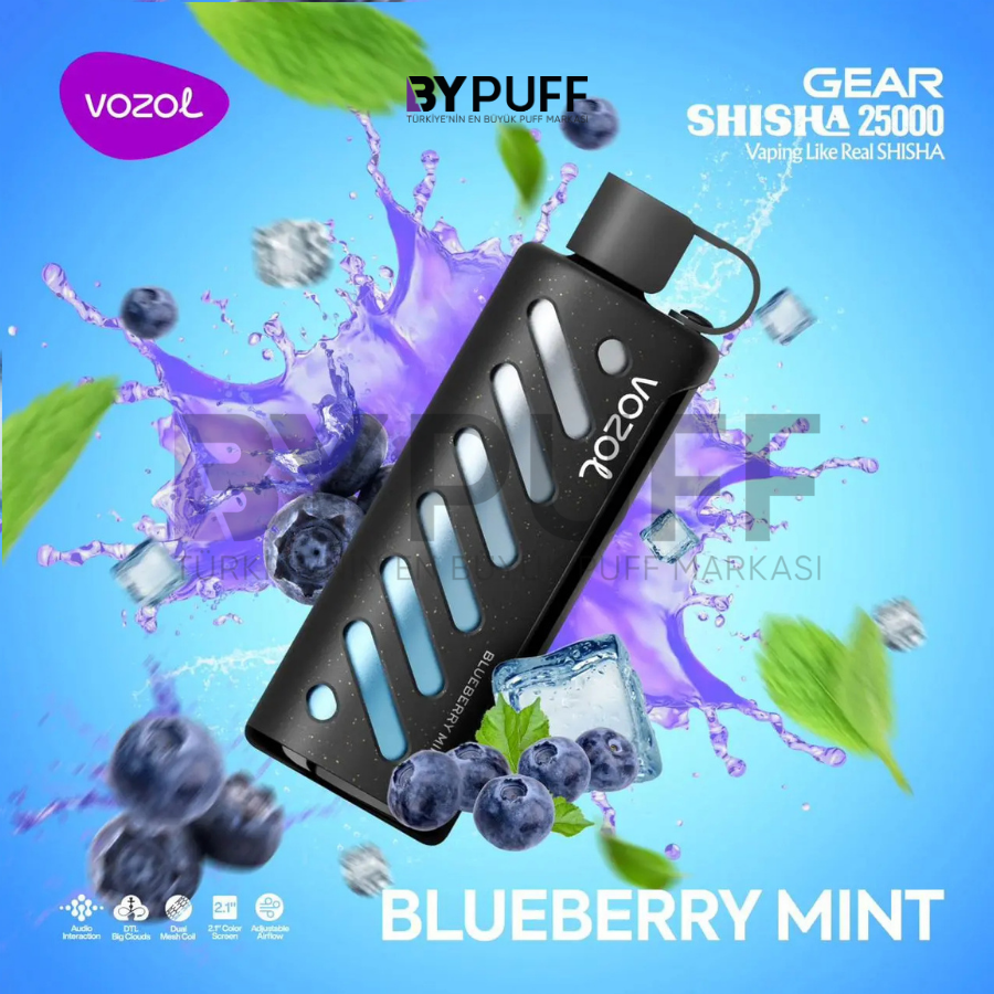 Vozol Gear 25000 Blueberry Mint