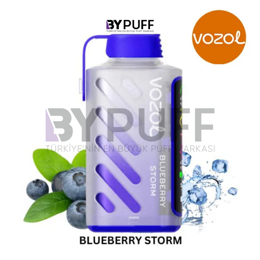 Vozol Gear Power 20000 Blueberry Storm