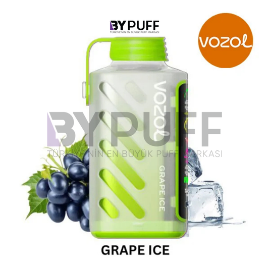 Vozol Gear Power 20000 Grape Ice