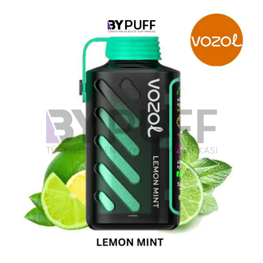 Vozol Gear Power 20000 Lemon Mint