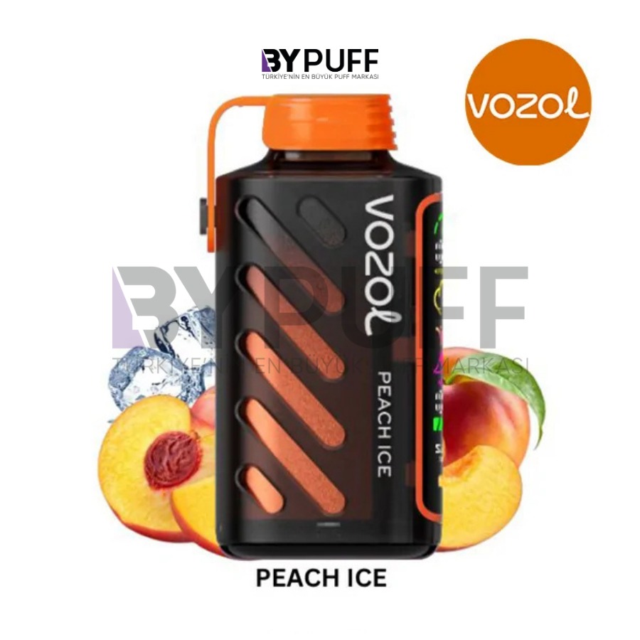 Vozol Gear Power 20000 Peach Ice