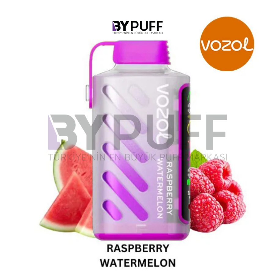 Vozol Gear Power 20000 Raspberry Watermelon