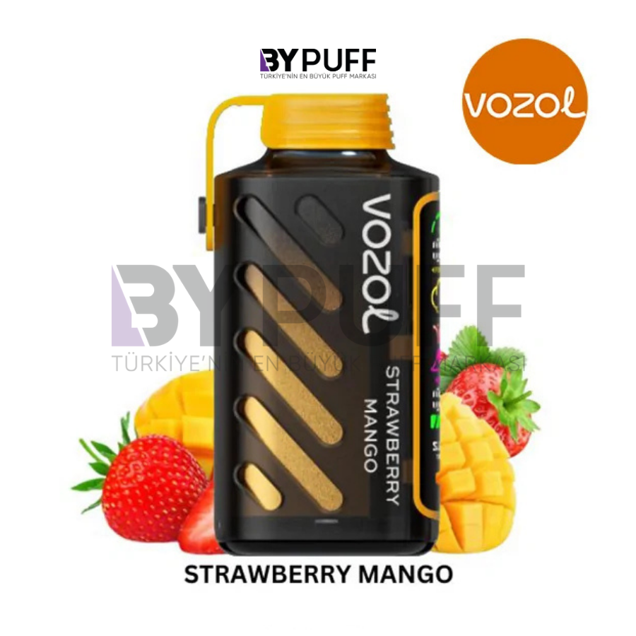 Vozol Gear Power 20000 Strawberry Mango