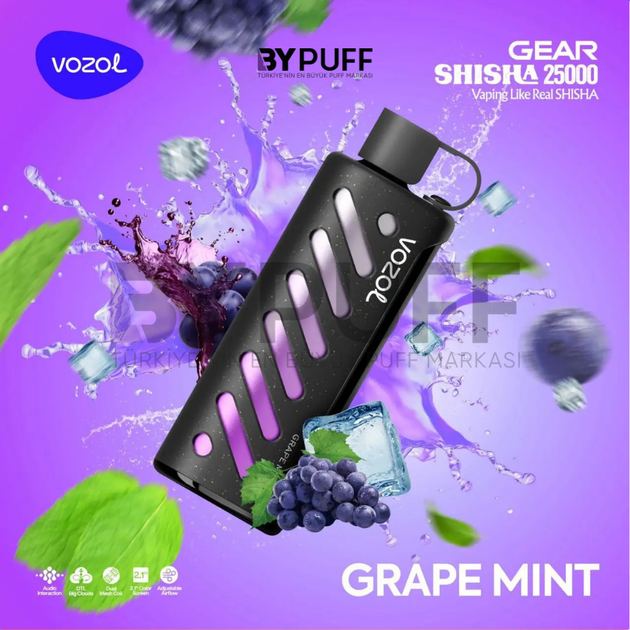 Vozol Gear Shisha 25000 Grape Mint