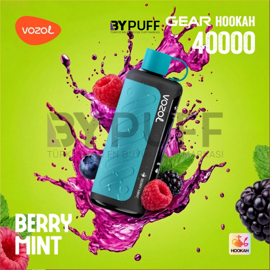 Vozol Hookah 40000 Berry Mint