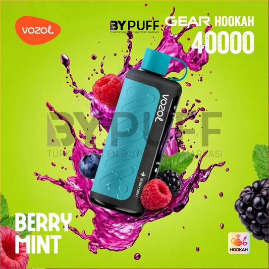 Vozol Hookah 40000 Berry Mint
