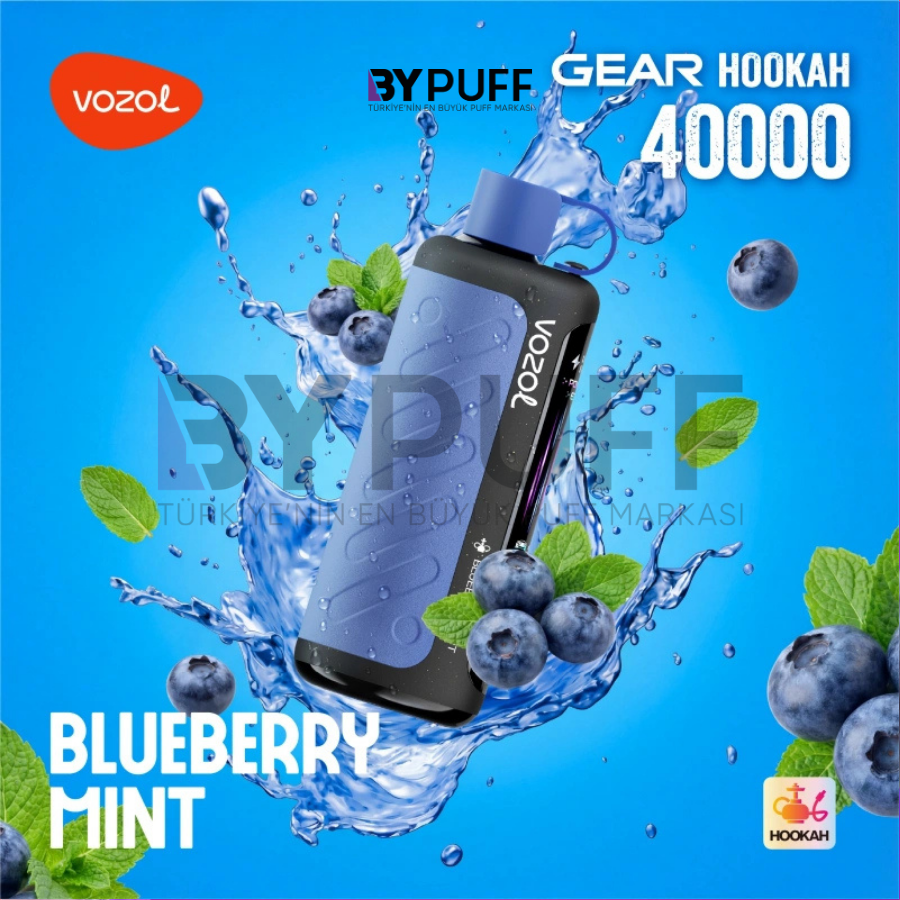 Vozol Hookah 40000 Blueberry Mint