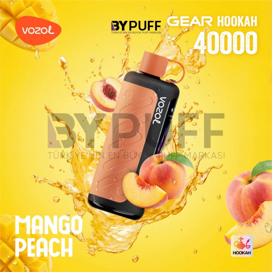 Vozol Hookah 40000 Mango Peach