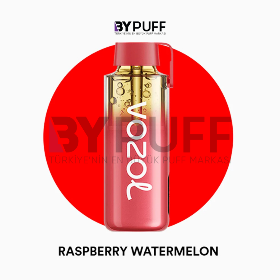Vozol Neon 12000 Raspberry Watermelon