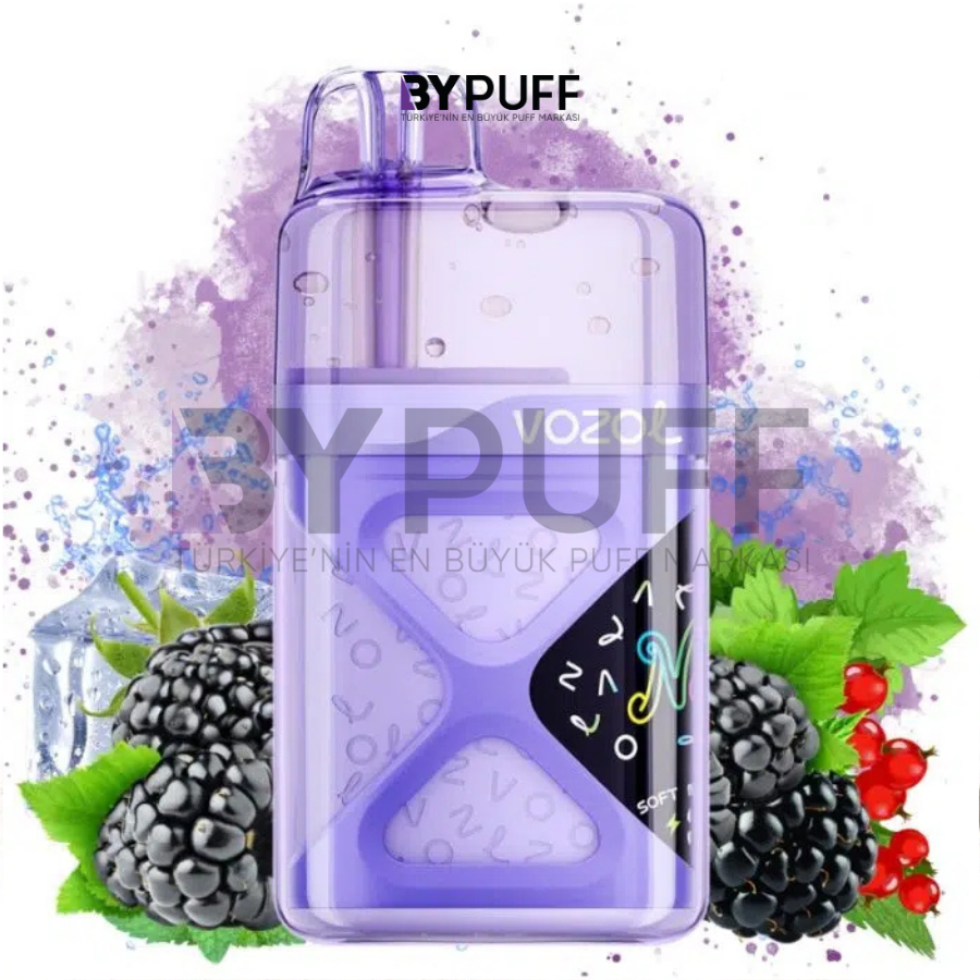 Vozol Neon 60000 Blackberry Ice