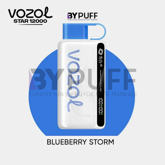 Vozol Star 12000 Blueberry Storm
