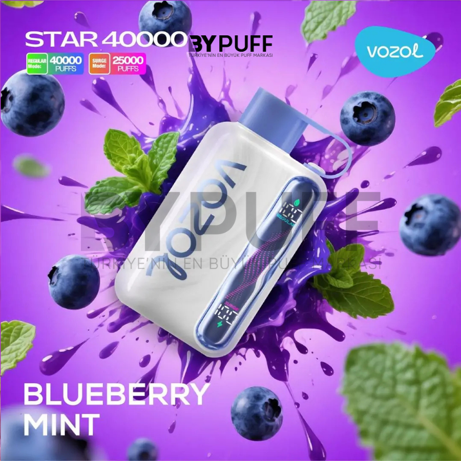 Vozol Star 40000 Blueberry Mint