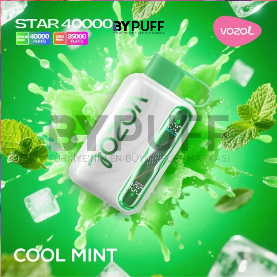 Vozol Star 40000 Cool Mint