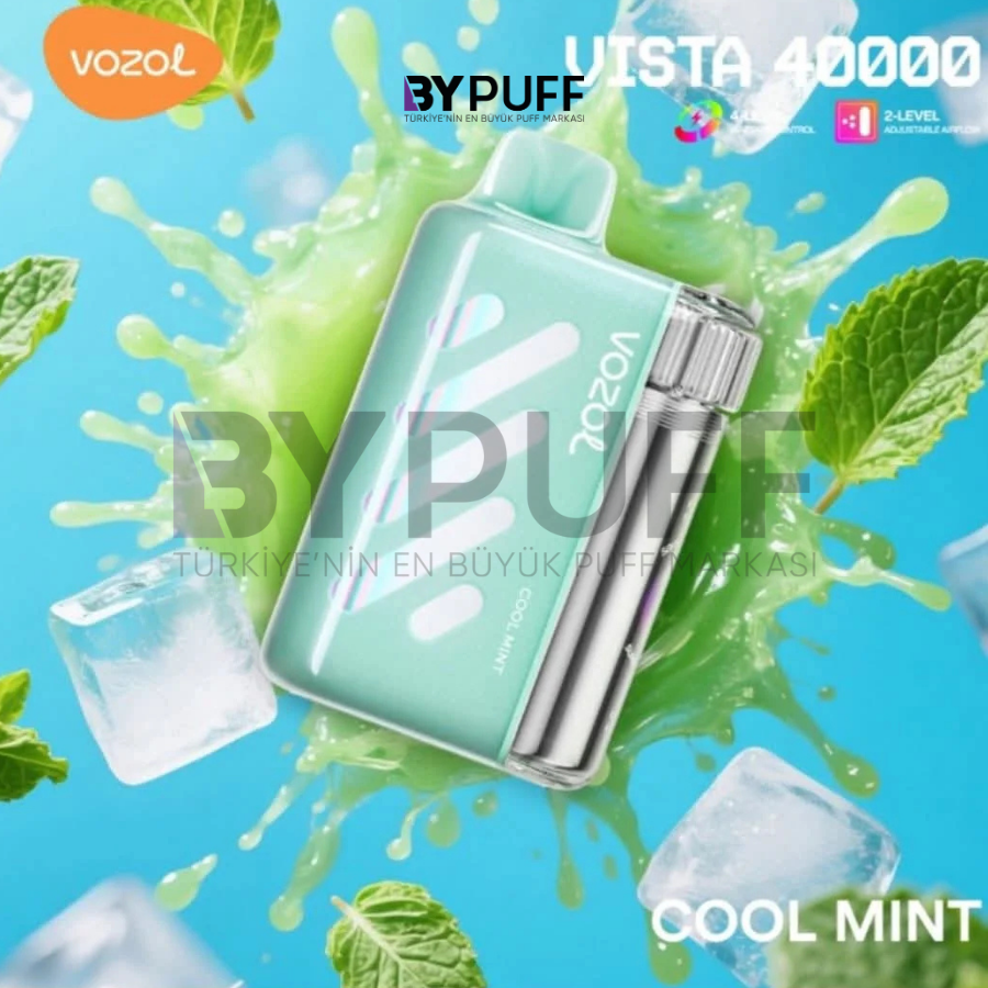 Vozol Vista 40000 Cool Mint